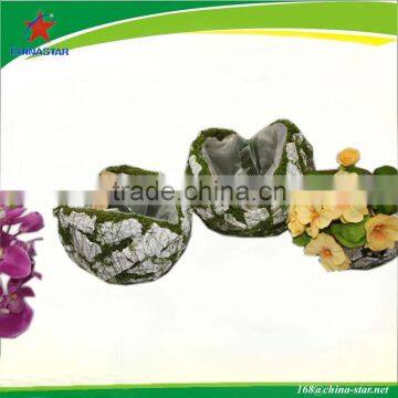 moss biodegradable plant pot
