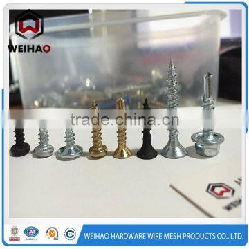 Indonesia Salable Sharp Point Drywall Screw photo-2