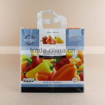 Long Nylon Webbing Handles Photo Picture Printing Laminated TNT Bag, Laminated Non-woven Shopper photo-3