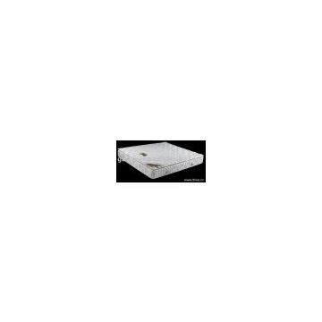 coil pillow top  mattress