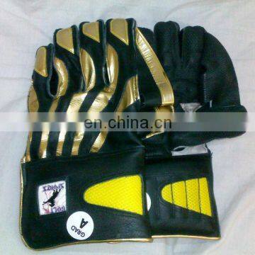 Wicket Keeping Gloves