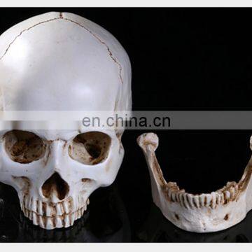 Halloween resin skull heads for decoration