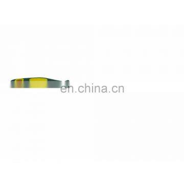 High Quality Rasper Half Round Bastard Files (SG-087)