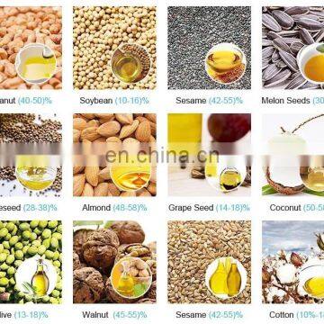 Soybean Oil Press Machine Sunflower Seed Oil Pressing Machine Peanut Oil Presser photo-5