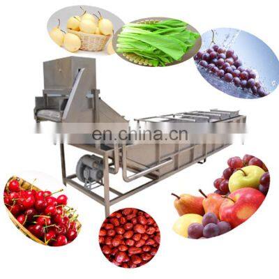 Fresh Vegetable Fruits Cleaning Drying Processing Machinery Dry Dates Washing Machine For Sale