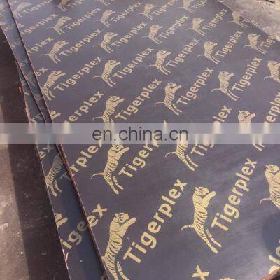 Plywood sheet marine plywood film faced plywood 1220*2440*18mm  hot sale in philippine market