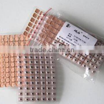 Granular needles (wang bu liu xing zi) - Runshi brand 600 / pack