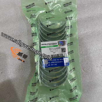 DOOSAN & DEVELON 65.01110-6090B HAUPTBEREICH(STD)