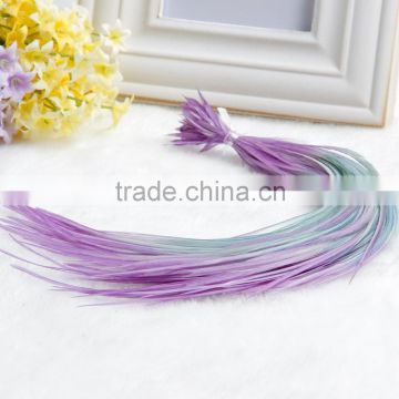 Fashion Ombre Clip in Hair Feather Extension