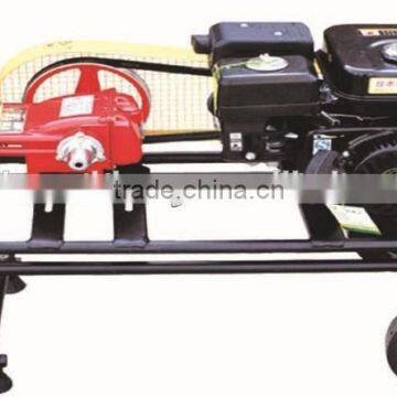 farm garden power sprayer (WSJ-36AT)