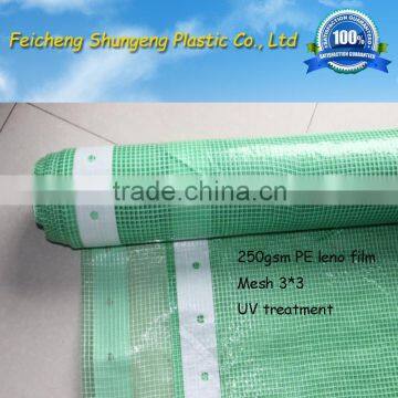 HDPE Green mesh leno tarpaulin/film for scaffolding sheet with reinforced border