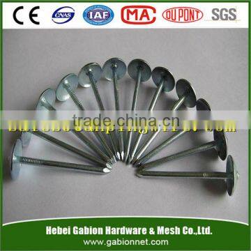 Plastic Cap Umbrella Head Roofing Nails Made in China