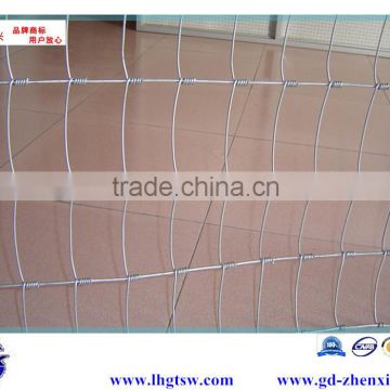 Guangzhou supplier manufacturing galvanized wire mesh roll wire horse gardening ZX-NLW002