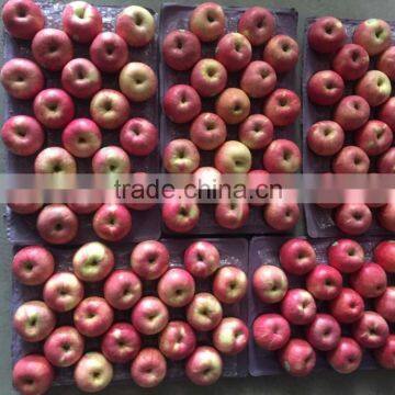 JINGCHUAN QINGUAN photo-6