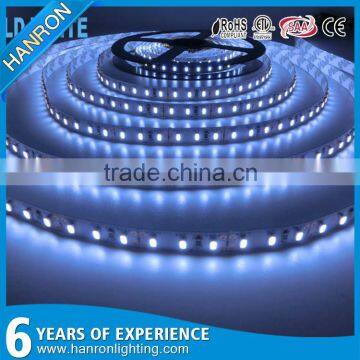 Chinese Factory Price 3014 SMD Blue Led Lighting Strips Led Blue Strip Lights photo-6