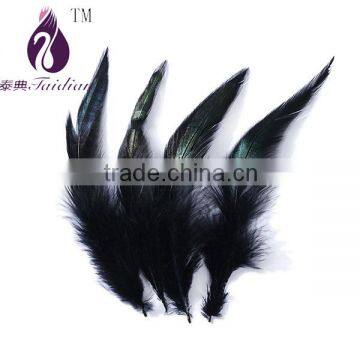 Black saddle Badger rooster feathers