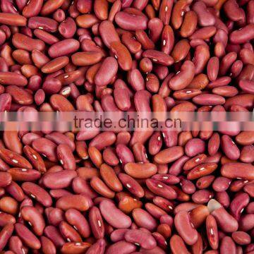 Red Kidney Beans