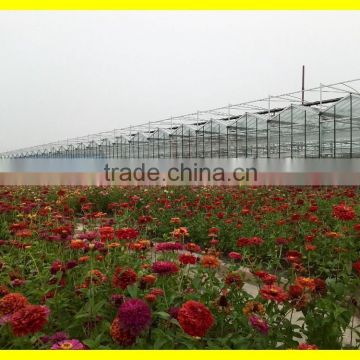 Vegetable-growing Greenhouse