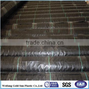 polypropylene woven Ground Cover Fabric with Green Planting Lines