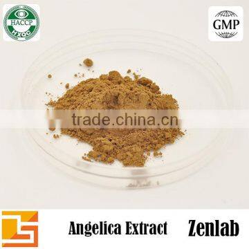 Angelica Root Plant Extract for Anti-oxidant or Antioxidant