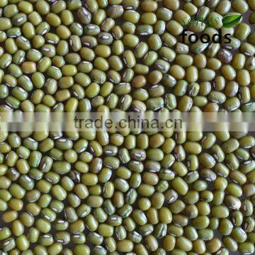 Green Mung Bean Export