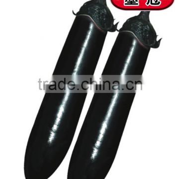 Hybrid Black seeds for growing-Mo Guan