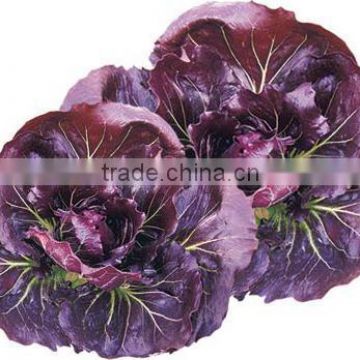 Chinese purple vegetable Seeds Health vegetables seeds for sale-Zi Ju