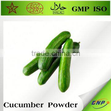 Natural Plant Extract Cucumber Extract photo-2