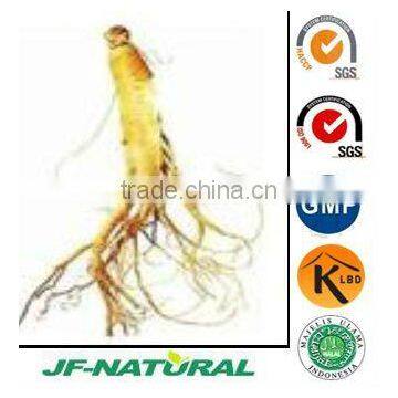 Ginseng extract 2% Panax ISO, GMP, HACCP, KOSHER, HALAL certificated factory