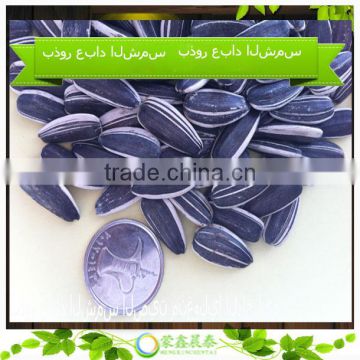 2014 Export sunflower seeds Popular for Human Eating