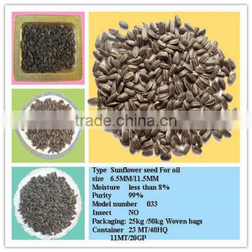 New Crop High Oil Content Sunflower Seeds 033 With High Quality