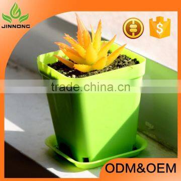 Cheap colorful mini plastic flower pot wholesale