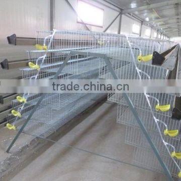 Layer Assemble Quail Cage With Assembling Tools For Sale photo-4