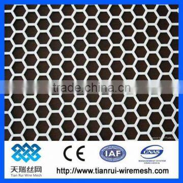 Galvanized Perforated Mesh/Aluminum Perforated Sheet/Perforated Metal Sheet photo-3