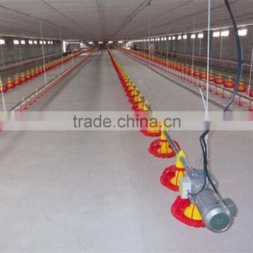 Automatic Chicken Feeding System From China Manufacturer/silo feeding system