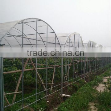 multispan plastic film greenhouse