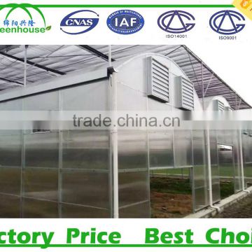 Garden multi span polycarbonate sheet greenhouse price