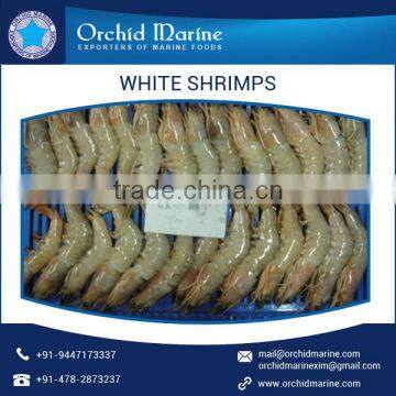 Best Quality Rich Delicious Natural White Shrimps at Competitive Market Rate photo-2