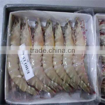 frozen fresh black tiger seafood