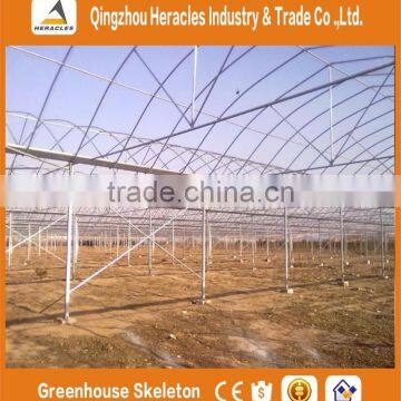 Heracles Trade Assurance agricultural tunnel Greenhouse