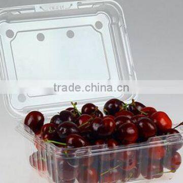 Disposable Packaging ;Vegetable Box ;Fruit Dish photo-2