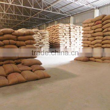 Non GMO Soyabean photo-3