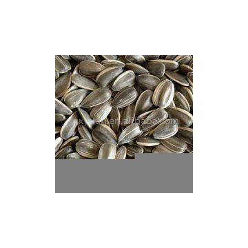 Sell Sunflower Seed