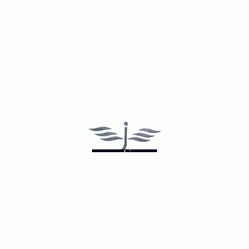 Wenzhou Yangcheng Leather & Clothes Co., Ltd.