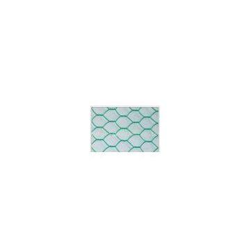 Hexgaonal Wire  Mesh