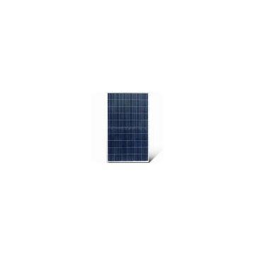 Solar Panel/Module with 156mm Cells