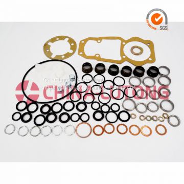 5.9 cummins engine overhaul kits 1 417 010 008  for Ve Pump Parts Replace