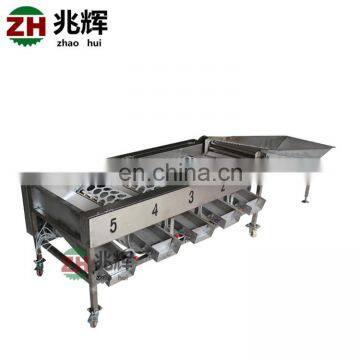 Widely Used Hawthorn Dates Longan Fruits Grading Machine photo-4