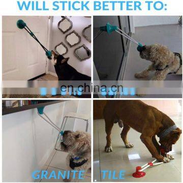 Interactive Chewing Biting Dog Toy Suction Cup Pet Molar Bite Ball Chew Toy photo-7