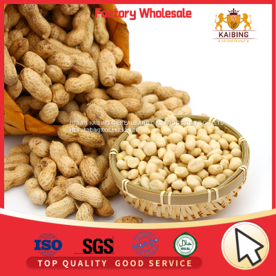 CHINESE BLANCHED GROUNDNUT KERNELS 25/29 WITH TOP QUALITY